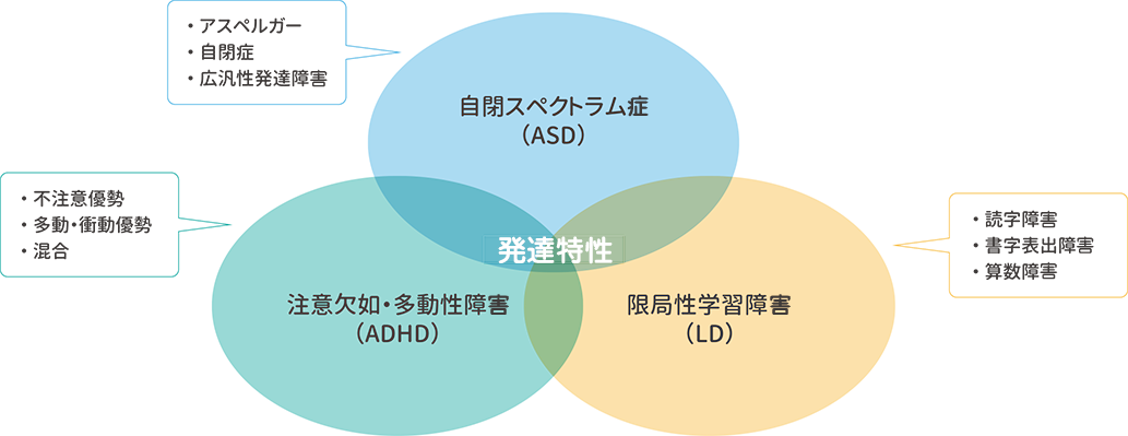 発達特性の種類とグレーゾーン 解説図